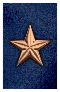 DF35T 430 BZ BL Star Bronze Blue